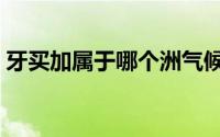 牙买加属于哪个洲气候（牙买加属于哪个洲）