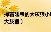 挥着翅膀的大灰狼小说在线阅读（挥着翅膀的大灰狼）