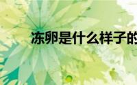 冻卵是什么样子的（冻卵什么意思）
