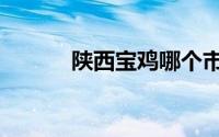 陕西宝鸡哪个市（宝鸡哪个省）