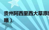 贵州阿西里西大草原旅游攻略（大草原旅游攻略）