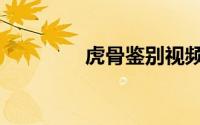 虎骨鉴别视频（虎骨鉴别）