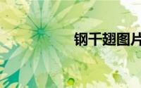 钢千翅图片（钢千翅）