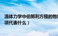 流体力学中伯努利方程的物理意义（流体力学伯努利方程各项代表什么）