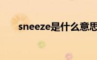 sneeze是什么意思（SN是什么意思）