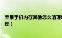 苹果手机内存其他怎么清理垃圾（苹果手机内存其他怎么清理）