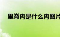 里脊肉是什么肉图片（里脊肉是什么肉）