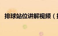 排球站位讲解视频（排球的站位怎么确定）