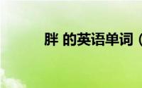 胖 的英语单词（胖的英文单词）