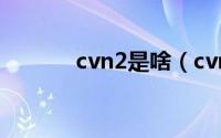 cvn2是啥（cvn2是什么意思）