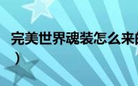 完美世界魂装怎么来的（完美世界还魂草坐标）