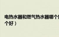 电热水器和燃气热水器哪个好些（电热水器和燃气热水器哪个好）