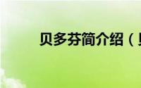 贝多芬简介绍（贝多芬简介资料）