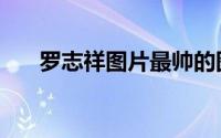 罗志祥图片最帅的图片（罗志祥图片）