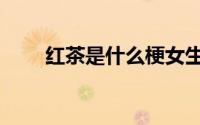 红茶是什么梗女生（红茶是什么梗）