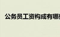 公务员工资构成有哪些（公务员工资构成）