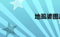 地虱婆图片（地虱）