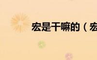 宏是干嘛的（宏是干什么用的）
