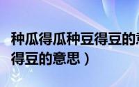 种瓜得瓜种豆得豆的意思是啥（种瓜得瓜种豆得豆的意思）