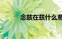 念兹在兹什么意思（念兹在兹）