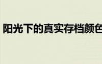 阳光下的真实存档颜色（阳光下的真实存档）