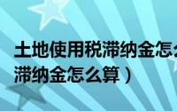 土地使用税滞纳金怎么算出来的（土地使用税滞纳金怎么算）