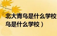 北大青鸟是什么学校 2020招生简章（北大青鸟是什么学校）