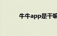 牛牛app是干嘛的（牛牛社区）