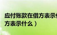 应付账款在借方表示什么意思（应付账款在借方表示什么）