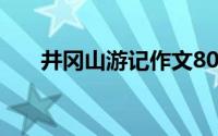 井冈山游记作文800字（井冈山游记）