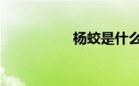 杨蛟是什么神（杨蛟）