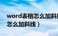 word表格怎么加斜线并添文字（word表格怎么加斜线）