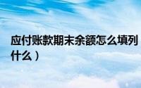 应付账款期末余额怎么填列（应付账款期末余额在贷方表示什么）