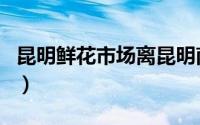 昆明鲜花市场离昆明南站多远（昆明鲜花市场）