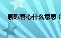 聊慰吾心什么意思（聊以慰藉什么意思）