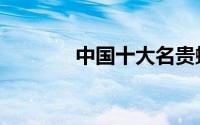 中国十大名贵蝴蝶（帝王蝶）