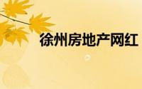 徐州房地产网红（徐州房地产网）