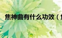 焦神曲有什么功效（焦神曲的作用与功效）