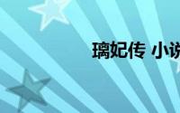 璃妃传 小说（璃妃传）