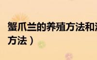 蟹爪兰的养殖方法和注意事项（蟹爪兰的养殖方法）