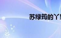 苏绿筠的丫鬟（苏绿筠）