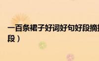 一百条裙子好词好句好段摘抄大全（一百条裙子好词好句好段）