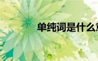 单纯词是什么意思（单纯词）