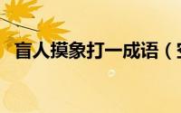 盲人摸象打一成语（空对空导弹打一成语）
