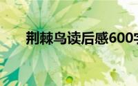 荆棘鸟读后感600字（荆棘鸟读后感）