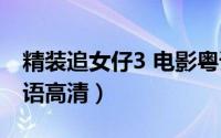 精装追女仔3 电影粤语高清（精装追女仔3粤语高清）