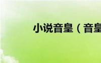 小说音皇（音皇全文免费阅读）