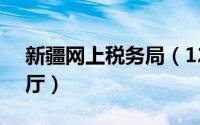 新疆网上税务局（12366新疆网上办税服务厅）