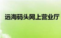 远海码头网上营业厅（远海码头公共查询）