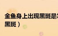 金鱼身上出现黑斑是怎么治疗（金鱼身上出现黑斑）